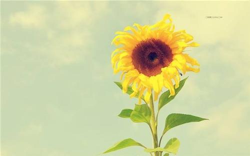 湖南成人高考复习