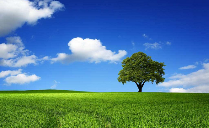 成人高考生态学基础