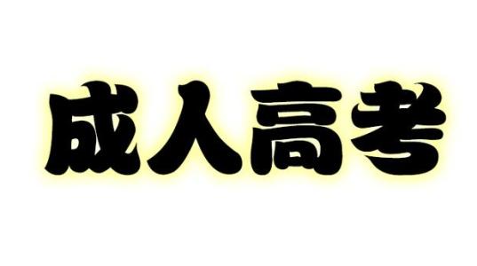 湖南成人高考加试