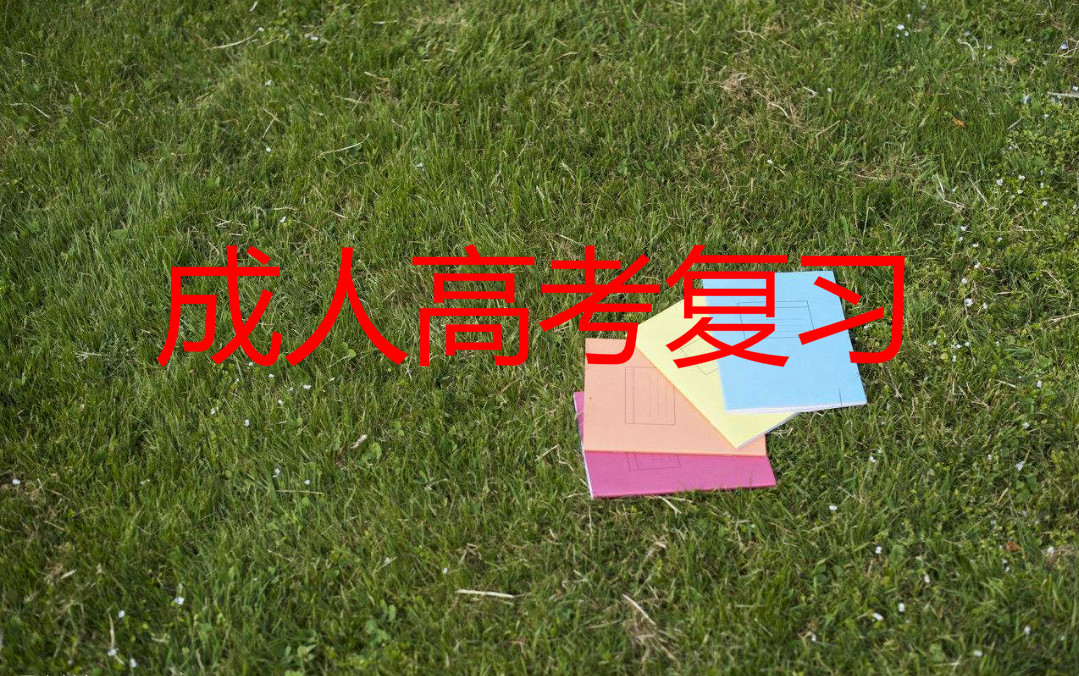 专升本政治怎样复习